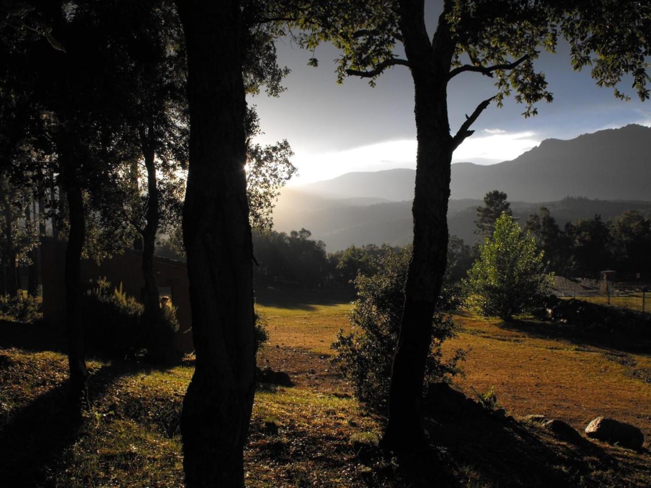 Camping Maçanet de Cabrenys Parque de Campismo Maçanet de Cabrenys