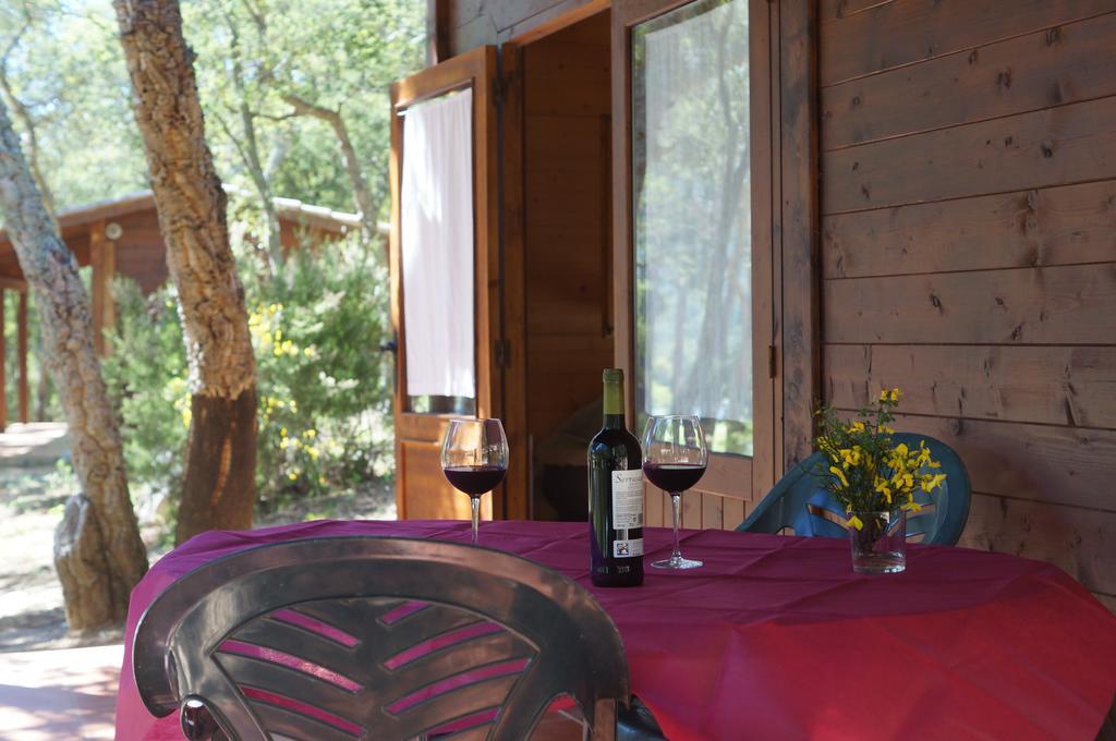 Camping Maçanet de Cabrenys Maçanet de Cabrenys